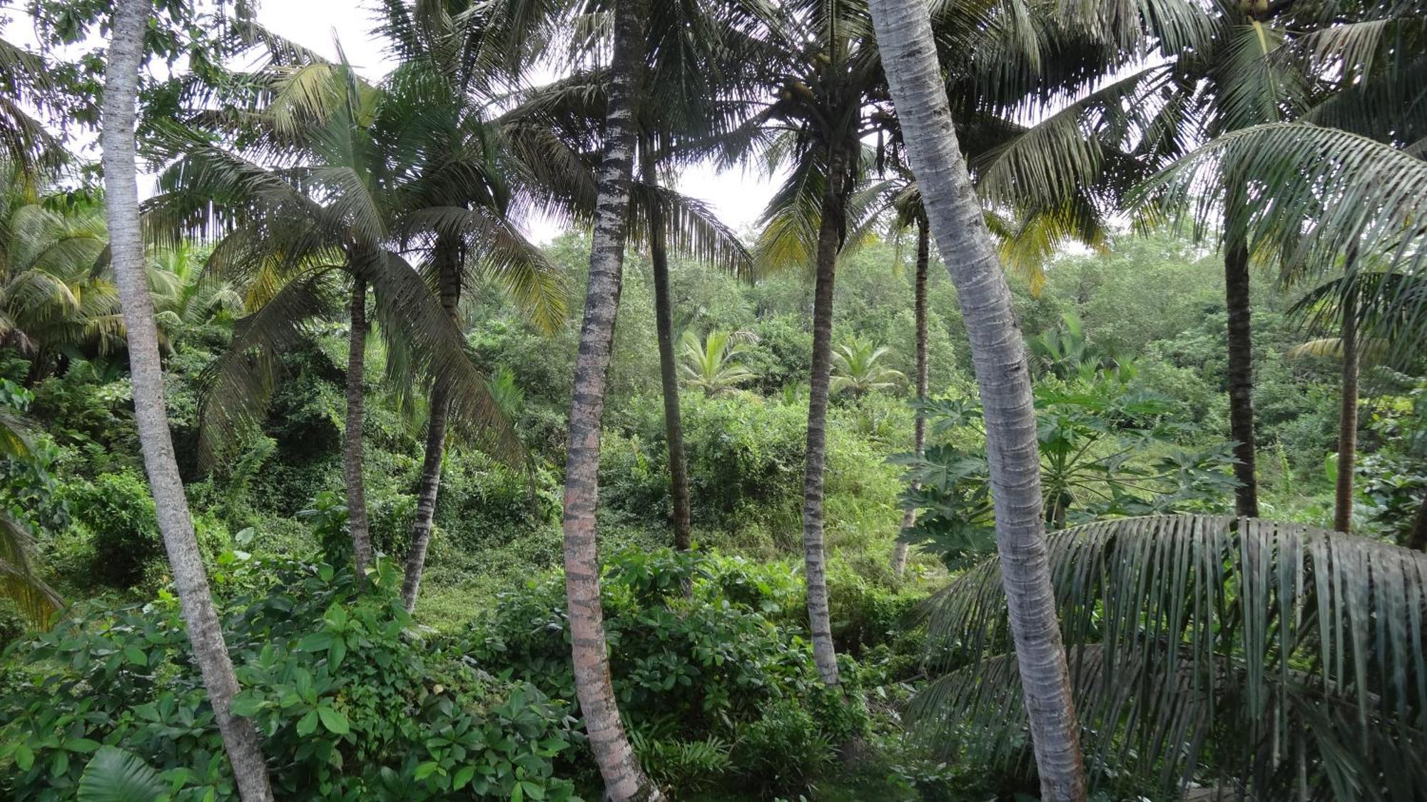 Ranil Villa Galle Bagian luar foto